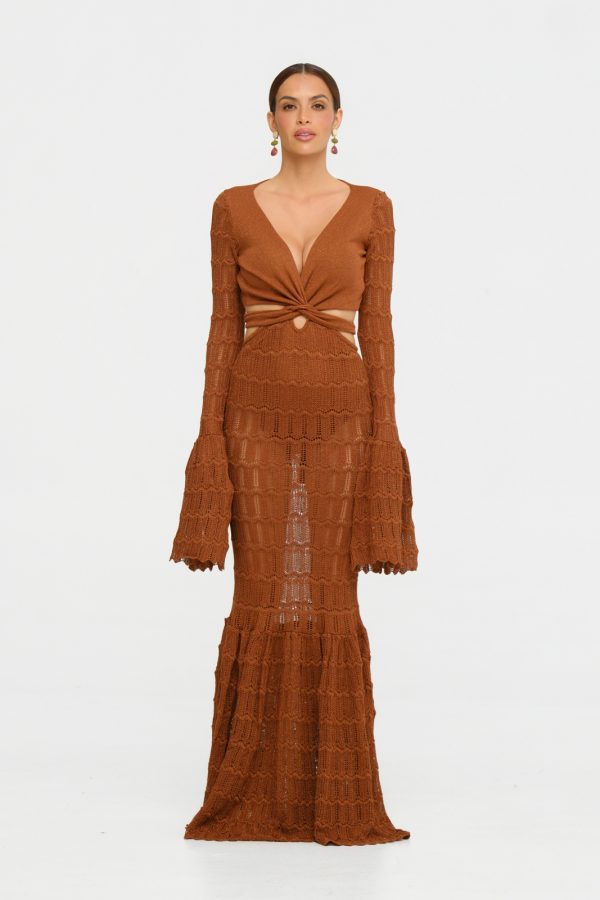 Ballena Dress Brown 1